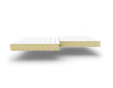 Сэндвич-панели стеновые с наполнителем из пенополиуретана толщиной 100 мм, Ширина-1000 мм, Полиэстер RAL9003