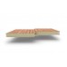 Сэндвич-панели стеновые с пир, толщиной 40 мм, ECOSTEEL-Золотой орех